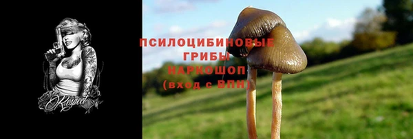 спайс Медногорск