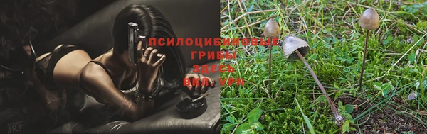 меф Горнозаводск