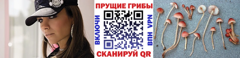 Галлюциногенные грибы мухоморы  сайты даркнета наркотические препараты  Джанкой  МЕГА как войти 